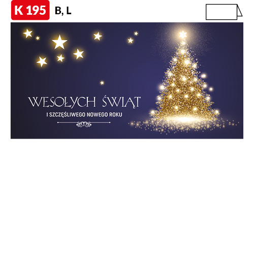 K195_C