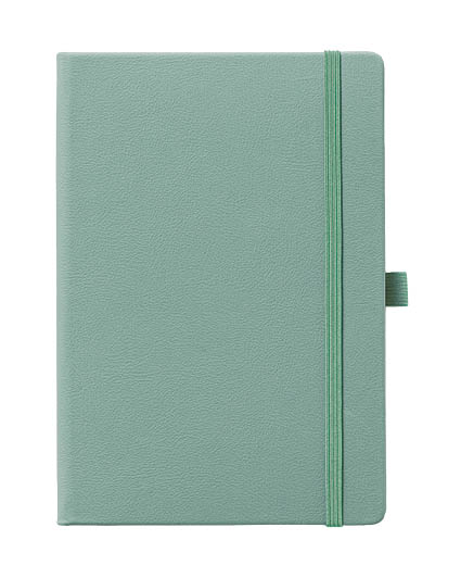 NE16