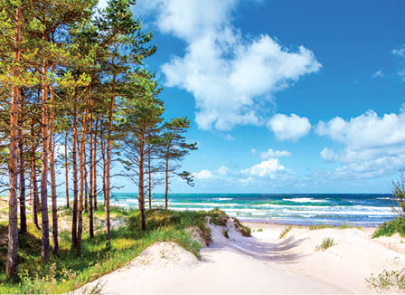Bałtycka plaża