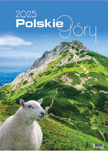 Polskie góry